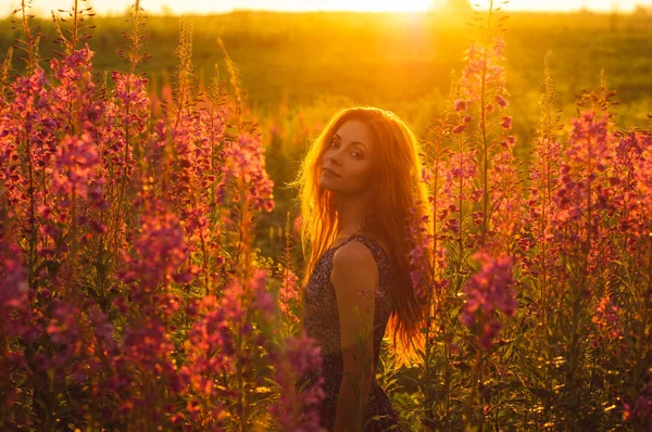 Schöne Mädchen auf dem Feld, Sonnenuntergang, Sonnenaufgang — Stockfoto