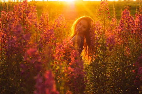 Hermosa chica en el campo, luz del sol, salida del sol —  Fotos de Stock