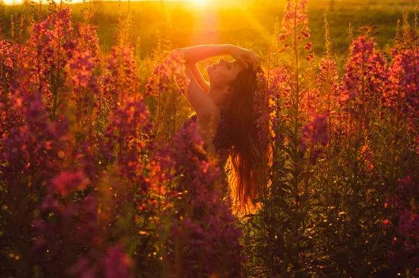 Bella ragazza sul campo, retroilluminazione solare, alba — Foto Stock