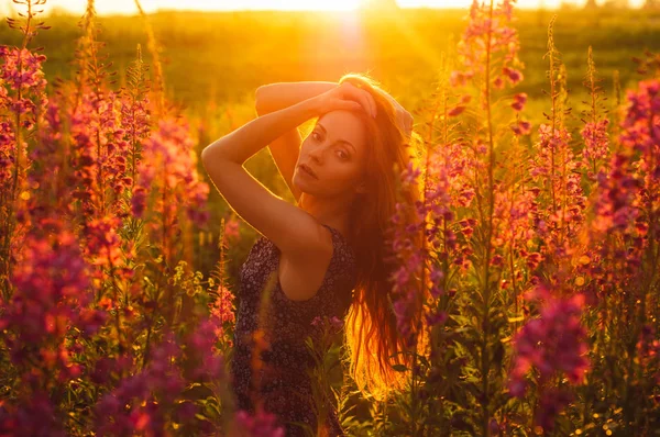 Menina bonita no campo, luz solar, nascer do sol — Fotografia de Stock