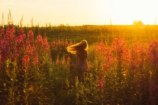 Dancing beautiful girl on field, sun backlight,  sunrise — Stock Photo, Image