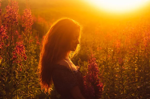 Menina bonita no campo, luz solar, nascer do sol — Fotografia de Stock