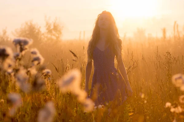 Hermosa chica en la niebla — Foto de Stock