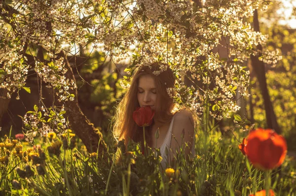 Mädchen im weißen Kleid duftende Tulpe im Sonnenuntergang, Löwenzahn — Stockfoto