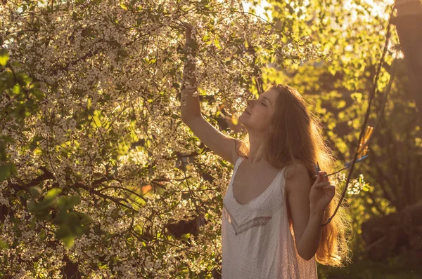 Девушка в белом платье среди вишневых цветов на закате — стоковое фото