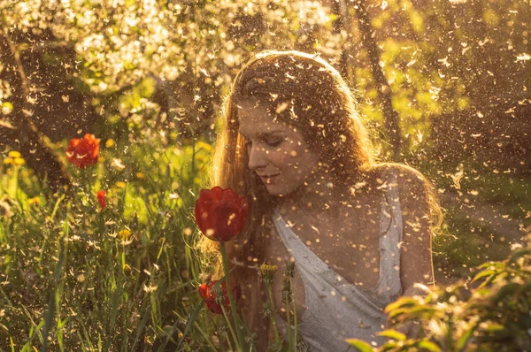 Meisje in witte jurk ruiken tulp in zonsondergang onder pluis — Stockfoto
