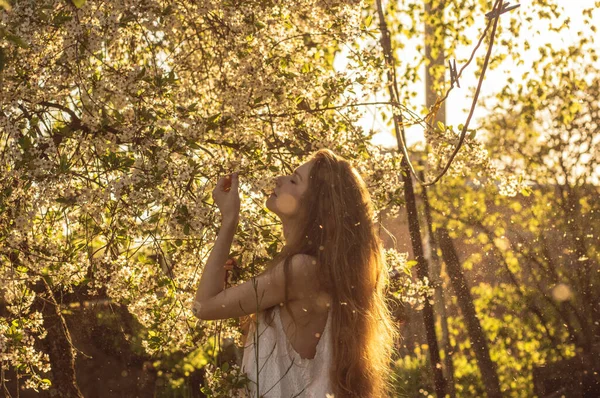 Meisje in witte jurk ruiken cherry bloemen tussen pluis — Stockfoto