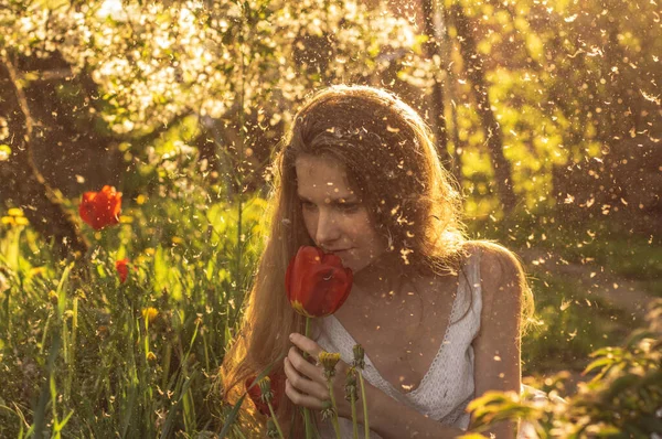 Девушка в белом платье нюхает тюльпан на закате среди пуха — стоковое фото