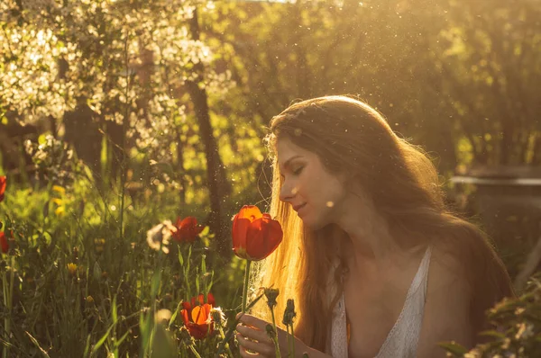 Menina de vestido branco cheirando tulipa ao pôr do sol entre fluff — Fotografia de Stock