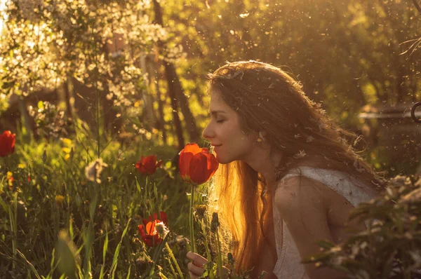 Chica en vestido blanco oliendo tulipán en la puesta de sol entre pelusa, dandel — Foto de Stock