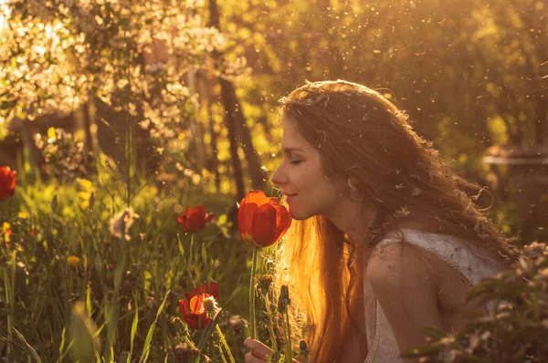 Meisje in witte jurk ruiken tulp in zonsondergang tussen pluis, dandel — Stockfoto