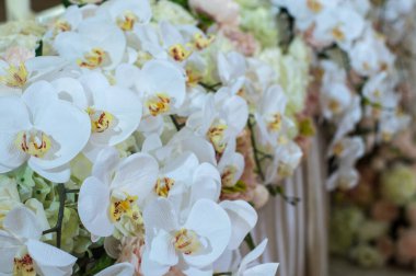 Beyaz güllü düğün süslemeleri 