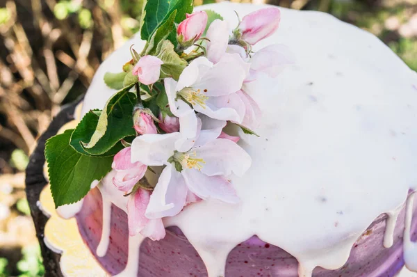 Närbild av lavendelcheesecake — Stockfoto