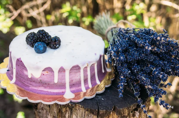 Fechar o bolo de queijo de lavanda — Fotografia de Stock