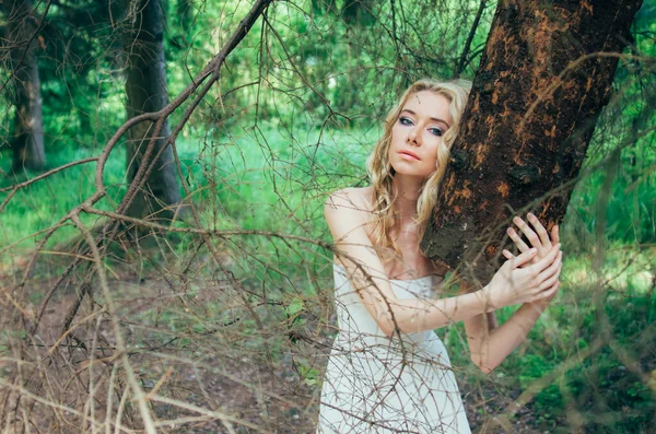 Portrét mladé blond nevěsty v lese držící kmen stromu — Stock fotografie