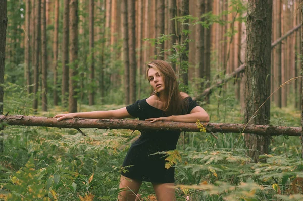 Portrait of young beautiful girl  in forest that holds tree — Stock Photo, Image