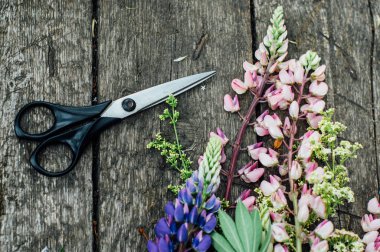 Pembe ve mavi lupinli makas 