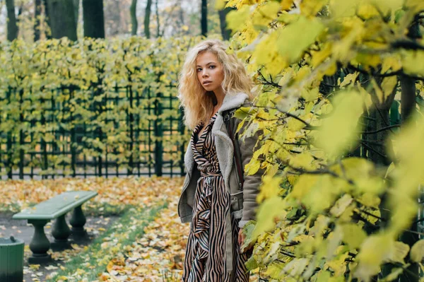 Ung Blond Flicka Bor Nära Träd Offentlig Park Höst Och — Stockfoto