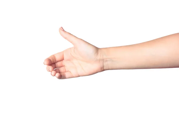 分離上の白い背景を持つ美しい女性の手 — ストック写真
