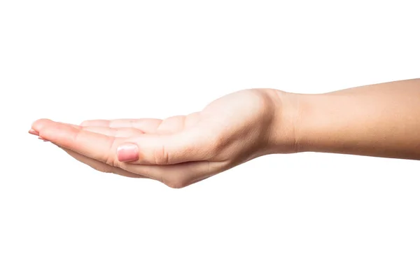 Empty female hand holding, giving isolated on white background — Stock Photo, Image