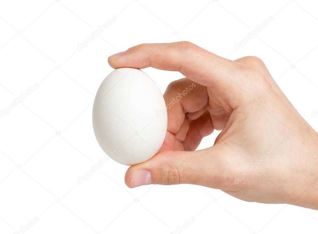 Hand holding a white egg on a white background, with copy space