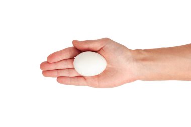 Kopya alanı ile beyaz bir arka plan üzerinde beyaz bir yumurta tutan el. Üstten Görünüm