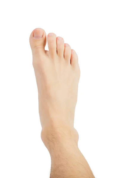 Vértes ápolt láb férfi szőrös lábát az egészségügyi koncepció felülnézet — Stock Fotó