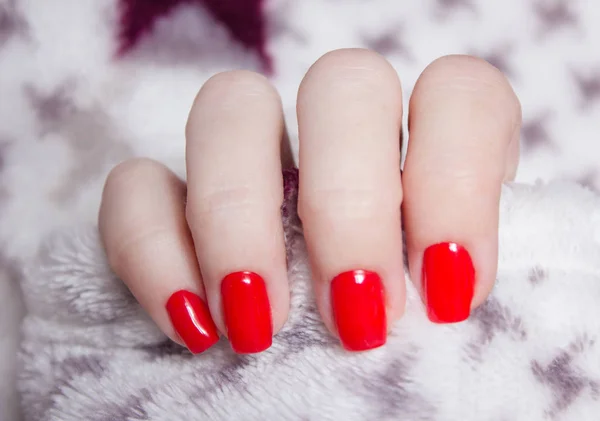 Rode manicure. De hand in een warme deken. wol Shaggy achtergrond — Stockfoto