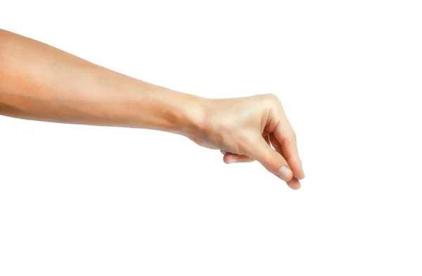 Manicured Мужской руки показывая пустое пространство для вашего выбора на белом фоне — стоковое фото