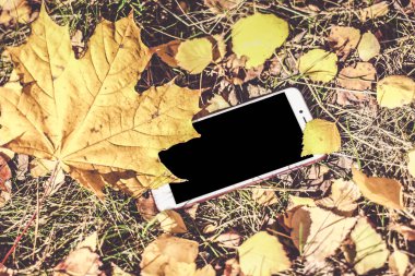 Sonbahar renkleri. Logonuzu bir yer ile siyah telefon