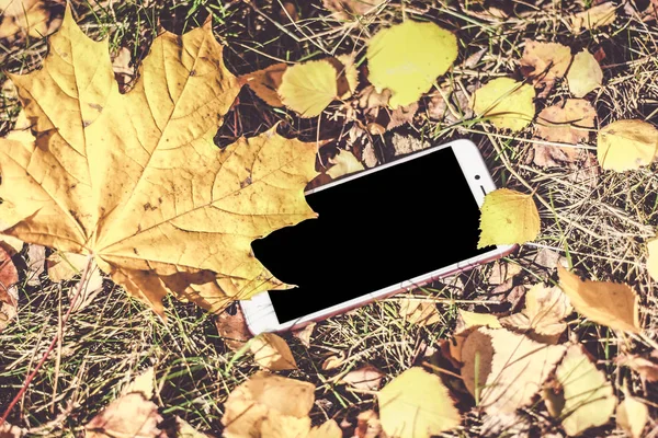 Sonbahar renkleri. Logonuzu bir yer ile siyah telefon