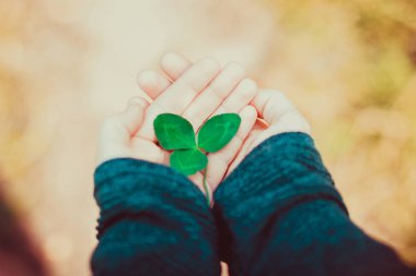 Yeşil yonca yaprağı, üzerinde beyaz izole tutmak el