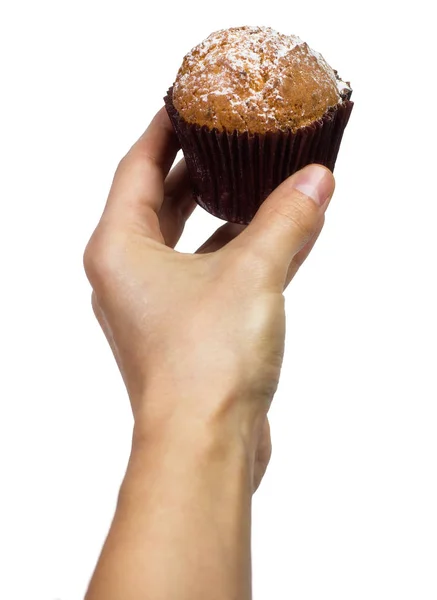 Ο άνθρωπος χέρι που κρατά μια σοκολάτα muffin whith ζάχαρη σκόνη σε λευκό φόντο — Φωτογραφία Αρχείου