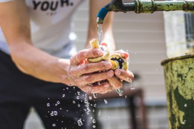 Erkek ellerinde beyaz mantarlar. Porcini mantarı.