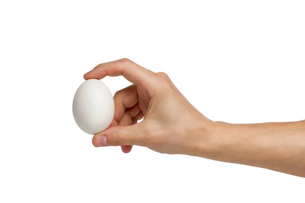 잘 다듬어 진 수탉의 손 과 흰색 위에 분리 된 달걀 이 있다 — 스톡 사진