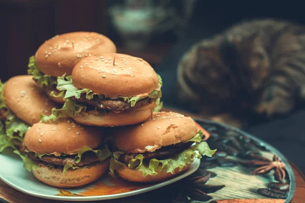 Zelfgemaakte hamburgers met sla op het bord. kat zitten op de achtergrond — Stockfoto