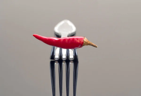 Chili en un tenedor — Foto de Stock