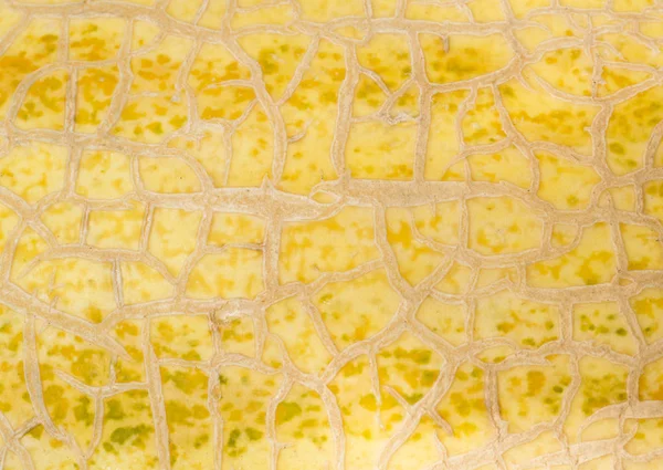 Kavun arka plan doku bantları