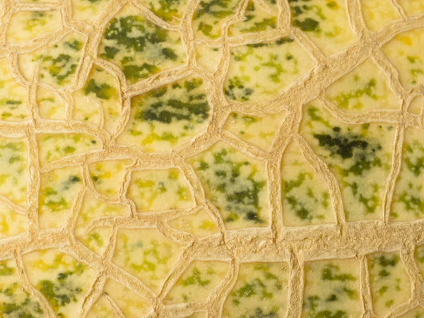 Kavun arka plan doku bantları