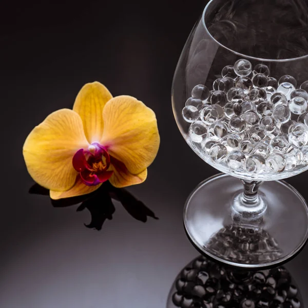 Siyah arka plan üzerine yüksek cam orkide çiçekleri