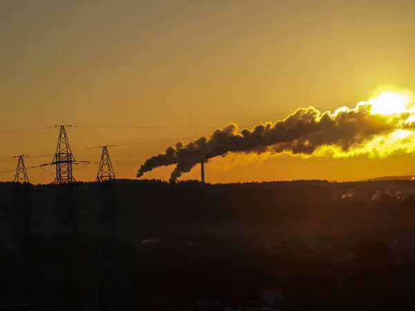 duman ve mavi gökyüzü ile bitki