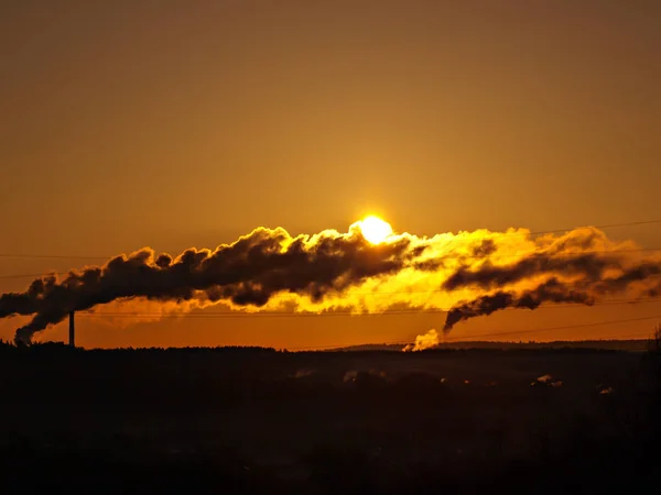 duman ve mavi gökyüzü ile bitki