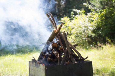Burning.bonfire ormandaki açık yaz gününde ahşap