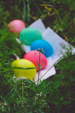 Çayır üzerinde renkli Paskalya yumurtaları