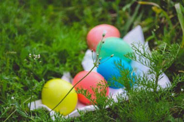 Çayır üzerinde renkli Paskalya yumurtaları