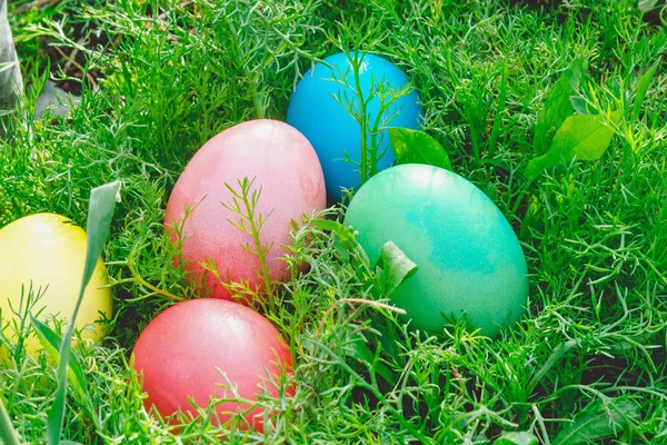 Çayır üzerinde renkli Paskalya yumurtaları