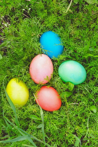 Huevos de Pascua en prado — Foto de Stock