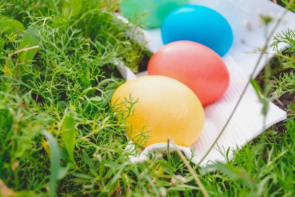 Пасхальные яйца на лугу — стоковое фото