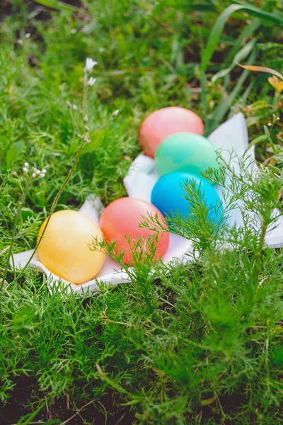 Пасхальные яйца на лугу — стоковое фото