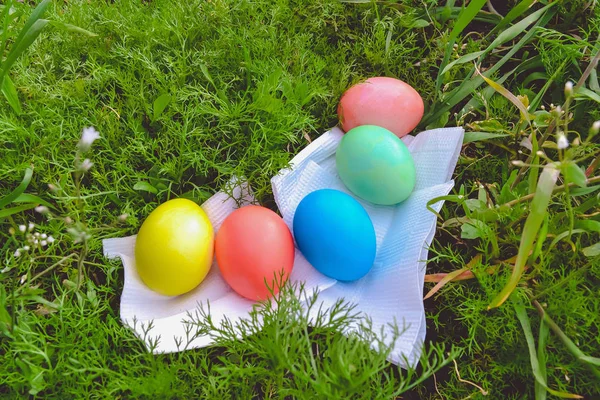 Paskalya yumurta çayır üzerinde